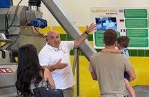 Cagliari Olive Oil Farm & Tasting (Since 1600, 20 Minutes Away)