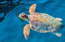 Zakynthos Half Day Tour and Cruise Turtle Island and Keri Caves