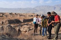 Panjakent day trip from Samarkand