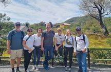 Kyoto Bamboo Forest & Golden Pavilion E-Bike Tour