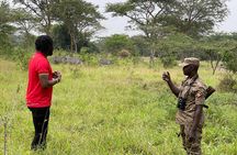 1 Day Lake Mburo National Park Safari