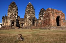 Bangkok to Ayutthaya Lopburi Monkey Temple, Largest Buddha Tour