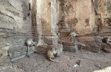 Bangkok to Ayutthaya Lopburi Monkey Temple, Largest Buddha Tour