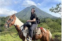 Horseback Riding to The Arenal Volcano