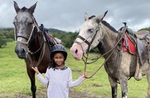Horseback Riding to The Arenal Volcano