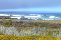 Carmel Tour in The Heavenly 17 Mile Drive