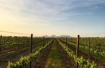  Costa Brava Coves Towns and Winery Private Tour