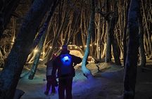 Ski, hike & diner with wine in a Mountain Dome - Martial By Night