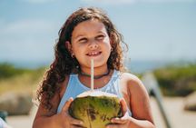 Aruba Baby Beach Express Tour