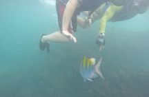 Ocean Kayaking and Snorkeling 