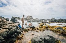 Aruba Signature Jeep Tour: Natural Pool and Baby Beach