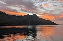 Whale watching 6 people half day