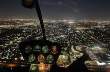 Guitar Hotel or Miami Dolphins Stadium Helicopter Tour