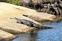 Kissimmee, St. Cloud Self Guided Lakefront Tour on eBike (4 hrs.)