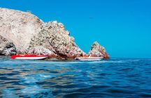 Paracas Adventure : Crossbow Islands, Buggies & Desert – Full Day