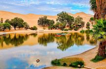 Paracas Adventure : Crossbow Islands, Buggies & Desert – Full Day