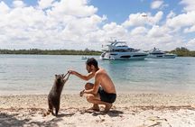 Island Adventure Miami Boat Rental to Raccoon Island Miami Tour