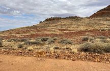 Full day The Painted Desert Tour in Outback South Australia