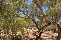 Full day The Painted Desert Tour in Outback South Australia