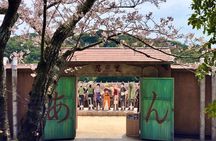 NARUTO & BORUTO at Nijigen no Mori Park Entry& Bus Transportation