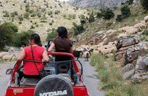 Full-Day 4x4 Self-Drive Safari in East Crete with Lunch