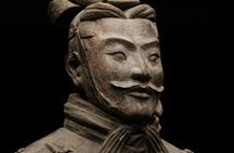 Terracotta Warriors, City Wall and Pagoda Full Day Tour