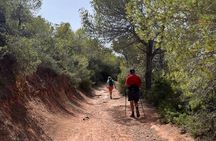 Hiking guide tours in Ibiza - Explore stunning views with us! IHL