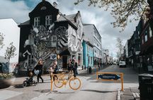Private Reykjavik Street Art Walking Tour - The Instagram Tour