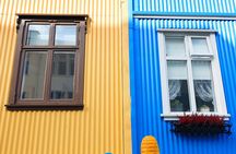 Private Reykjavik Street Art Walking Tour - The Instagram Tour