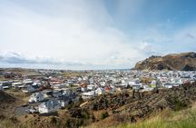 Westman Islands, Volcanoes and Puffins Small Group Tour