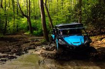 New River Gorge Side by Side Family Tour