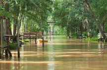 Tigre Delta Tour from Buenos Aires with Cruise and Fruit Market