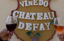 3-Hour Chateau Defay Vineyard Tour in Central America