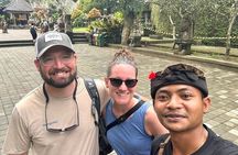 Gunung Kawi Rice Terrace Swing And Waterfall Private Guided Tour 
