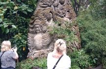 Gunung Kawi Rice Terrace Swing And Waterfall Private Guided Tour 