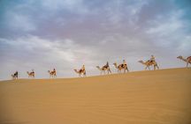 Desert Safari Dubai with BBQ Dinner, Sand Boarding & Camel Ride 