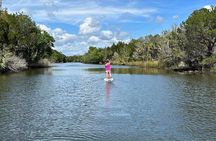 Backland Alligator Electric Paddle Tour