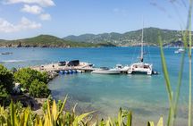Maho Bay Turtle Snorkel with Lunch and Bar at Frenchman's Reef