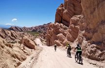 Atacama Desert Bike Tour to the Valley of the Moon