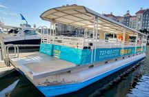 Fins Up - Dolphin & Island Sandbar Adventure in Clearwater Beach