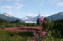 Juneau City Tour