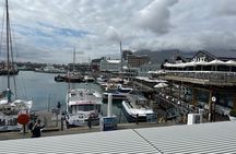 Full Day Tour Robben Island, Penguin , and Cape of Good Hope