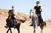 Hurghada: Arabian Desert and Sea Horseback Adventure