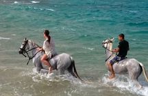 Hurghada: Arabian Desert and Sea Horseback Adventure
