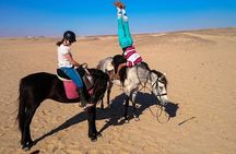 Hurghada: Arabian Desert and Sea Horseback Adventure