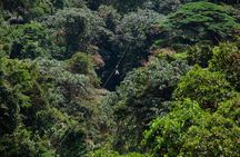 Sky Trek and Sky Tram Activity