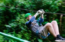 Sky Trek and Sky Tram Activity