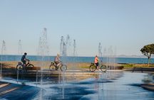 Coast to Vineyards Self-Guided Scenic Cycle Tour from Napier