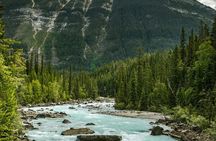 Personalized Private tour to Banff, lake Louise from Calgary