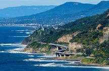Sea Cliff Bridge, Kiama Blowhole, Beaches & Farmlands Small Group